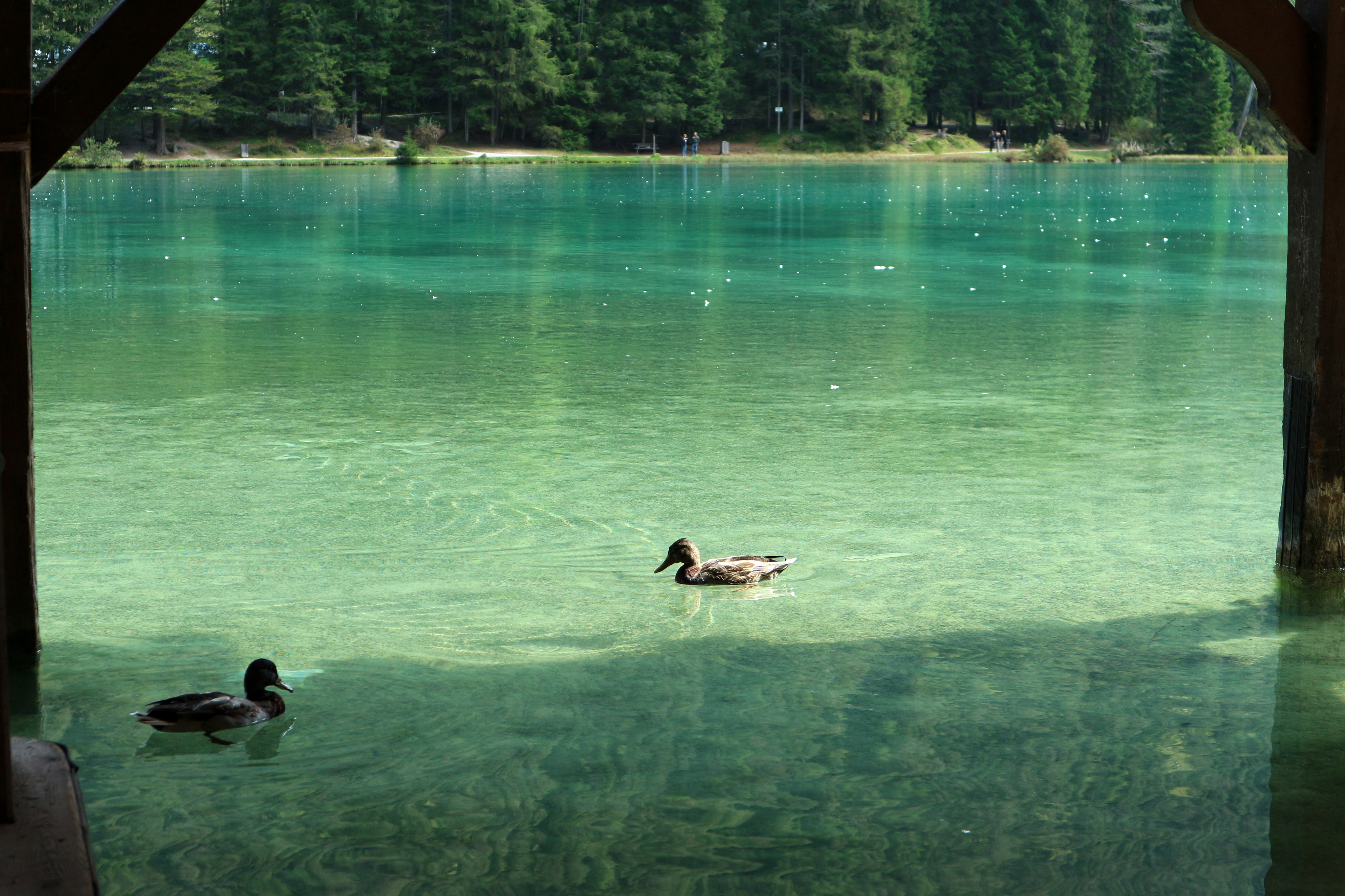Lago di Dobbiaco - Dolomiti